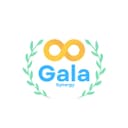 SynergyCAM Gala